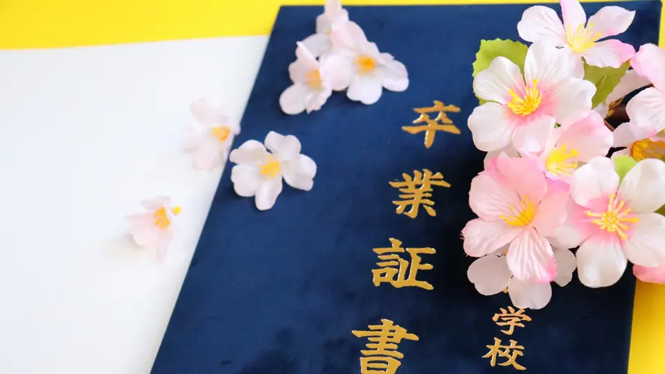 卒業証書と桜 1(黄色と白)