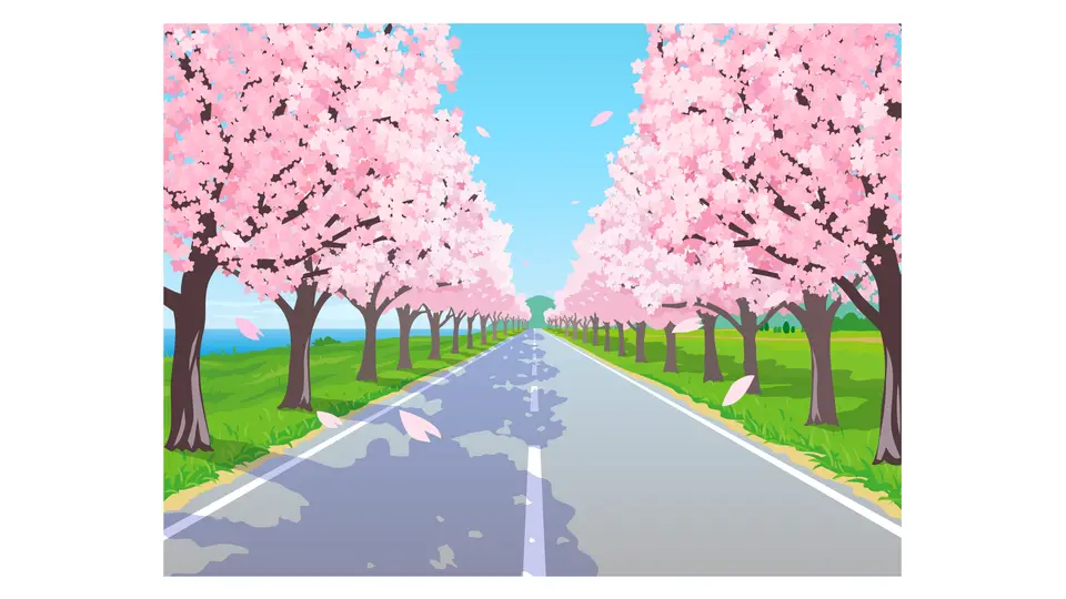 満開の桜並木と道路の風景