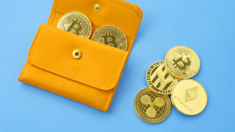ビットコイン アルトコイン 財布 仮想通貨 暗号資産