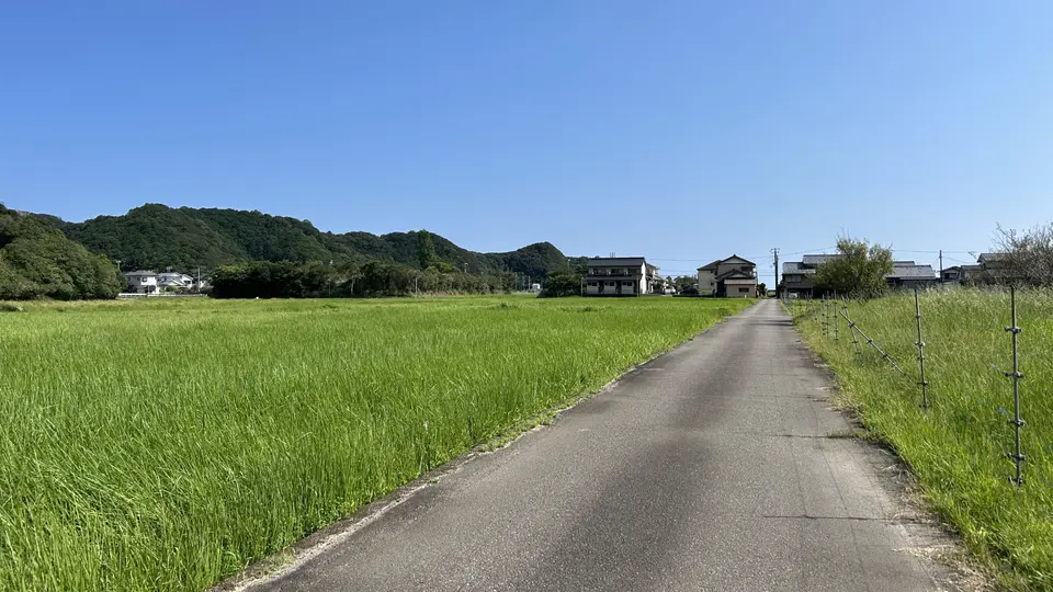 青空の下に広がる緑の田園と日本の田舎道